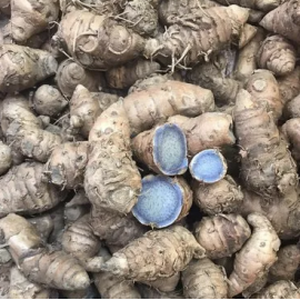 Black Turmeric Root / Kala Haldi / Karu Manjal (250 grm) Black Turmeric Root / Kala Haldi / Karu Manjal (250 grm)