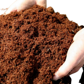 Cocopeat Compressed (5KG/10KG Block)