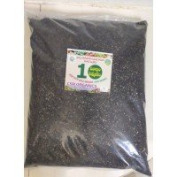 CSR 18 Essentials Ready M..