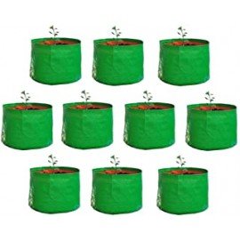 9 x 9 (Set of 10) Home Farming Grow Bag 