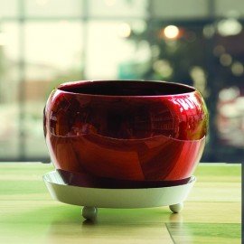 Designer Unique Metal Porcelain Pot For Succulent Plants