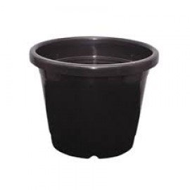 Brown Plastic Pots by CSR ORGANICS Brown Plastic Pots by CSR ORGANICS