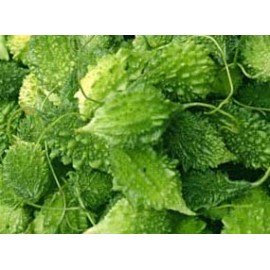 Chitti Kakara / Small Bitter Gourd Seeds