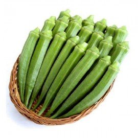 Bendi / Okra / Ladiesfinger Seeds