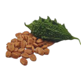 Karela / Bitter Gourd / Kakara Seeds