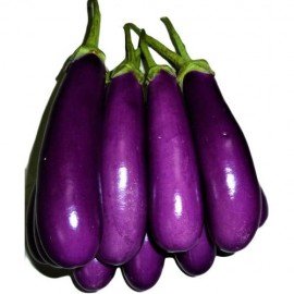 Brinjal Seeds/ Natu Vankaya Seeds 