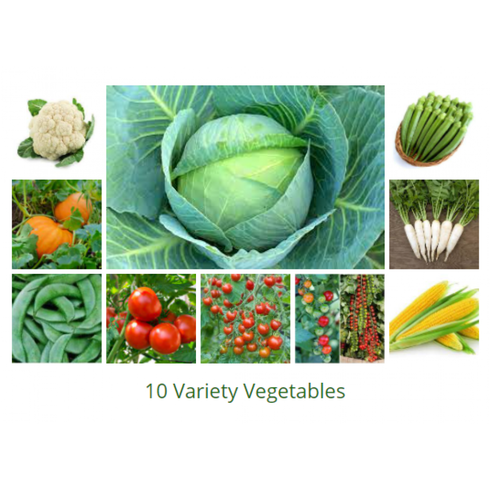 Vegetable Seeds 10 Variety