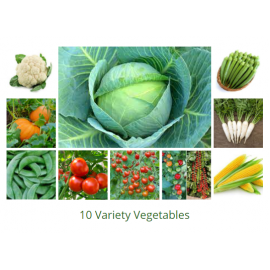 Vegetable Seeds 10 Variety