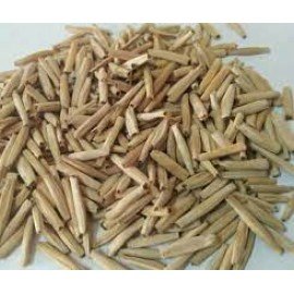 Adenium Single Petal ( While Color)