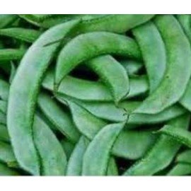 Chikkudu Theega / Borad Bean (Creeper) Seeds