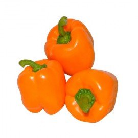 Orange Capsicum Seeds