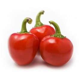 Bullet Mirchi/ Bullet Chilli Seeds