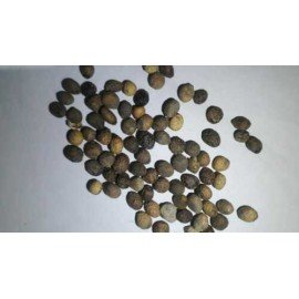 Spine Gourd Seeds / Akakara Seeds