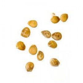 Cherry Tomato Seeds