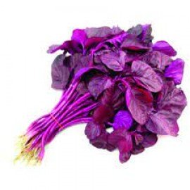 Red Spinach / Red Amaranthus / Erra Thotakura Seeds