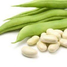 Beans Seeds