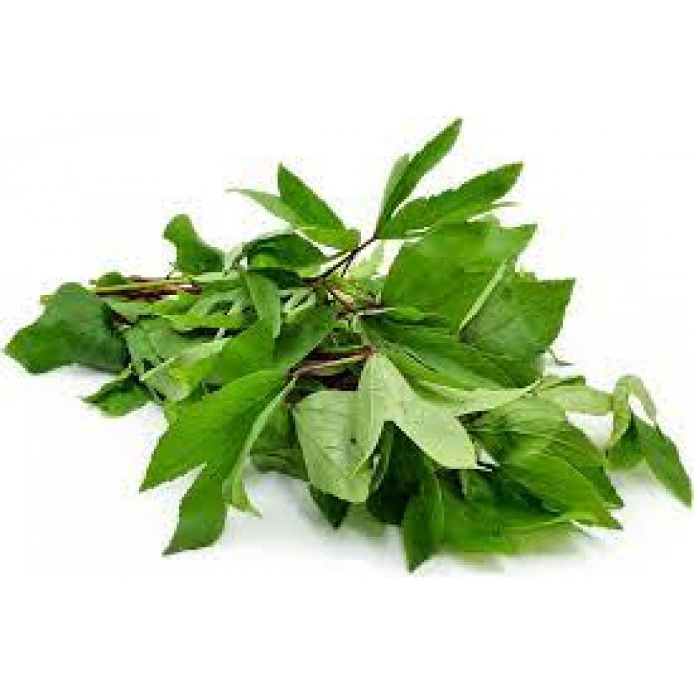 Konda Gongura / Sour Spinach Seeds