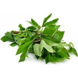 Konda Gongura / Sour Spinach Seeds