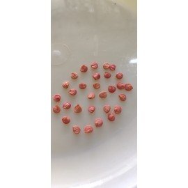 Orange Capsicum Seeds