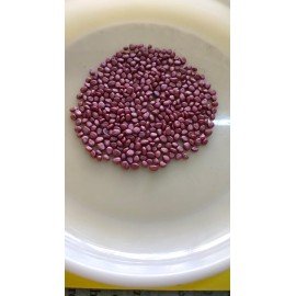 Radish / Mullangi / Mooli Seeds