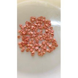 Bajji Mirchi / Chilli Seeds