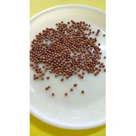 Coriander Seeds/ Daniya Seeds 