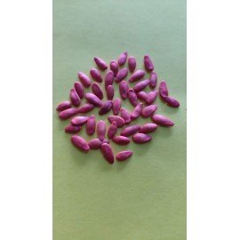 English Cucumber Seeds/ Keera Doshakaya Seeds/ Courgelet Seeds