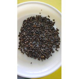 Gongura / Rosella / Sour Spinach Seeds