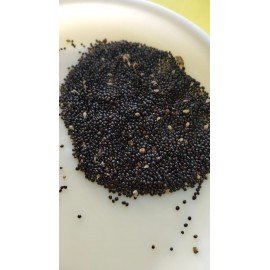 Koyya Thotakura / Amaranthus / Spinach Seeds