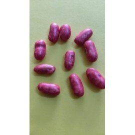Long Bean Seeds