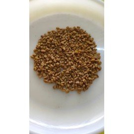 Methi/Fenugreek/ Menthikura Seeds