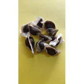 Munaga Kaya / Drumstick / Moringa Seeds