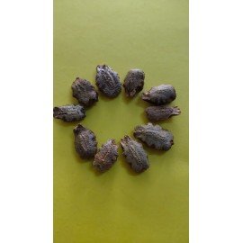 Snake Gourd / Potla kaya