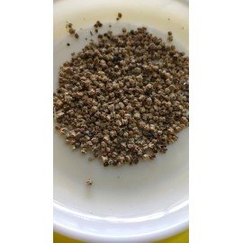 Spinach Seeds / Palak Seeds