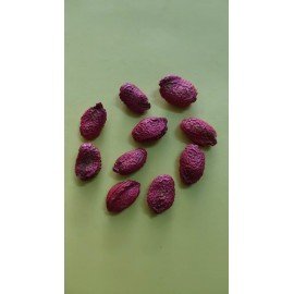 White Karela / White Bitter Gourd / Thella Kakara Seeds