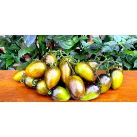 Atomic Grape Tomato Seeds