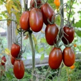 Black Plum Tomato Seeds