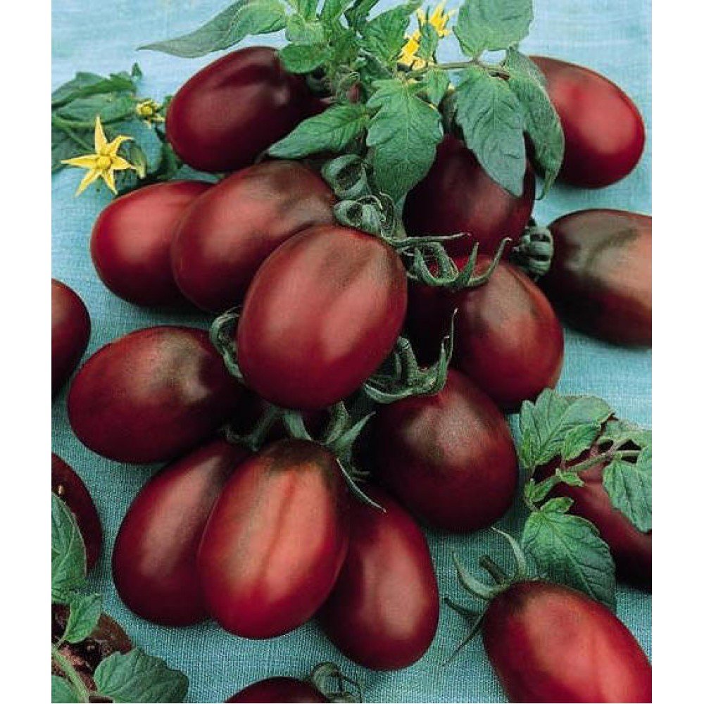 Black Plum Tomato Seeds