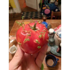 Bread & Salt (OX Heart) Tomato Seeds