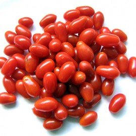 Red Grape Tomato Seeds