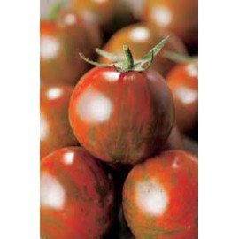 Tiger Tomato Seeds