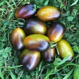 Atomic Grape Tomato Seeds