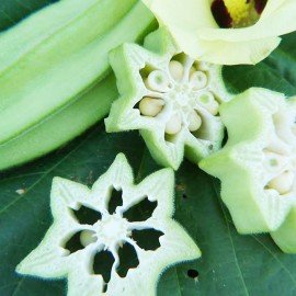 Green Star Okra/Green Star Bindi Seeds
