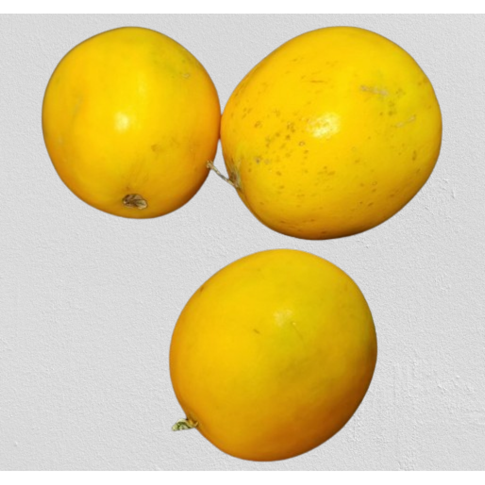 Dosakaya Seeds / Yellow Cucumber Seeds/ Yellow Dosakaya Seeds