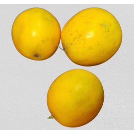 Dosakaya Seeds / Yellow Cucumber Seeds/ Yellow Dosakaya Seeds