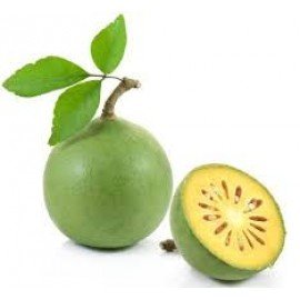 Maredu / Bilvam / Vilvam / Aegle marmelos Seeds