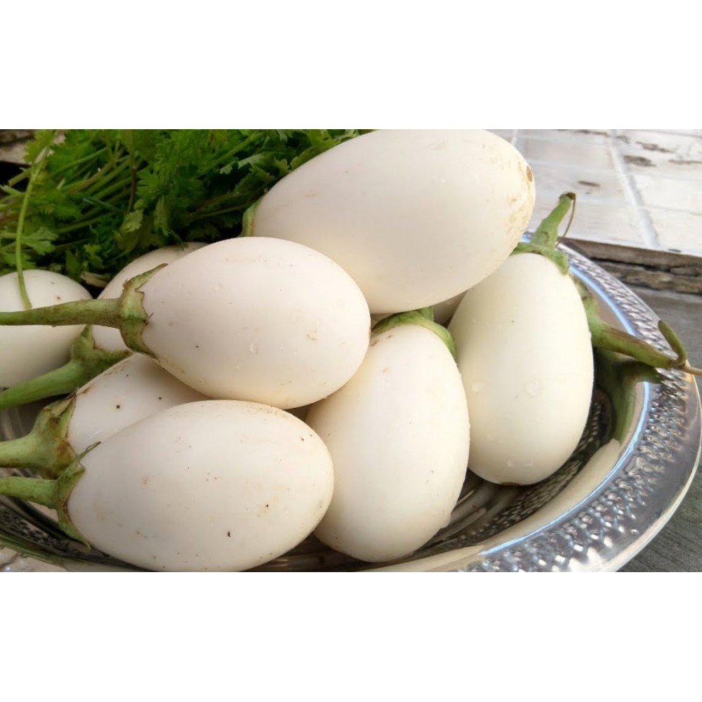 White Eggplants / Guthi Vankaya Seeds