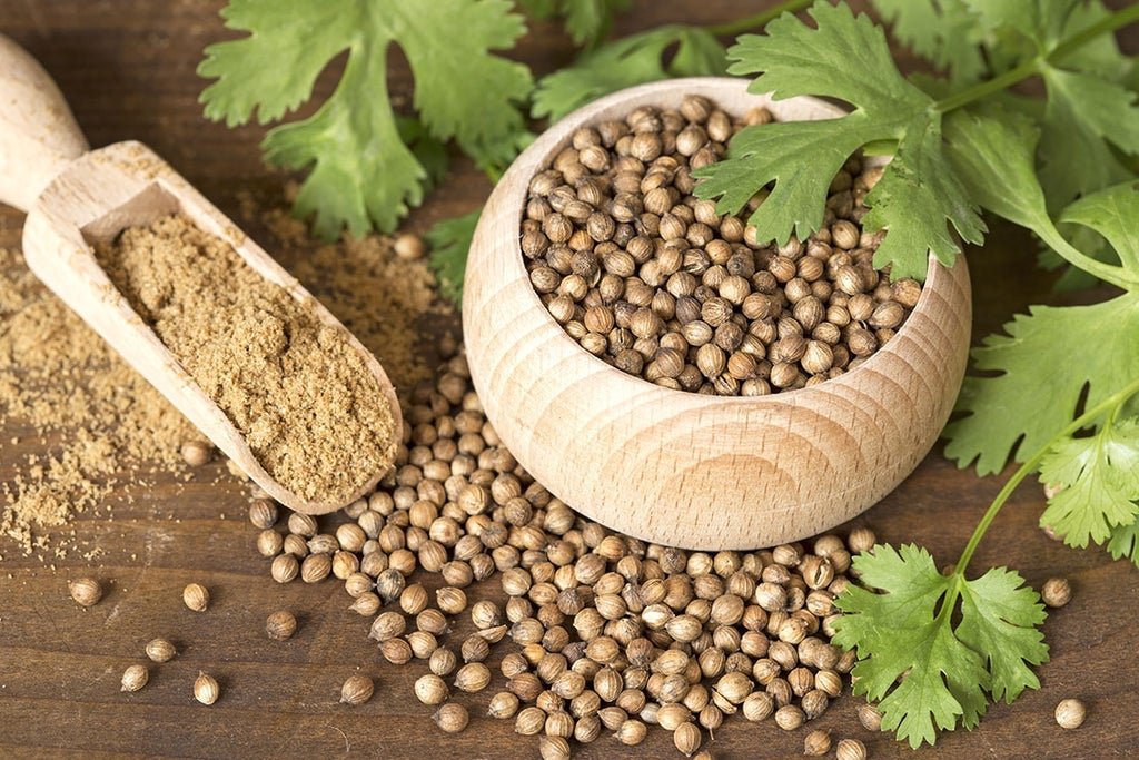 కొత్తమీర పెంపకం ఎలా / How to Grow Coriander